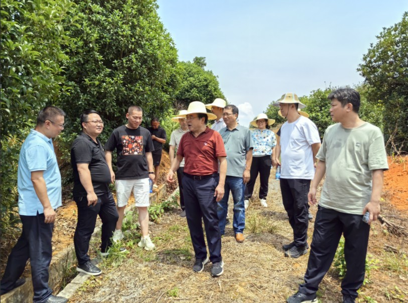 联通联万家 党群合力谱新章——记新邵县陈家坊镇江村村支委工作实况
